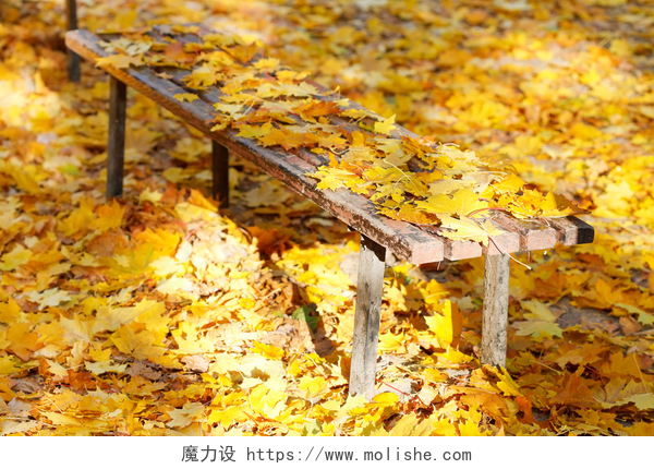 落满秋天的树叶的长椅很多黄色枫叶在花园的长椅上